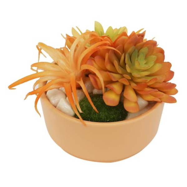 Michaels Ashland Succulent Mix in Coral Ceramic Pot Same-Day Delivery |  Instacart