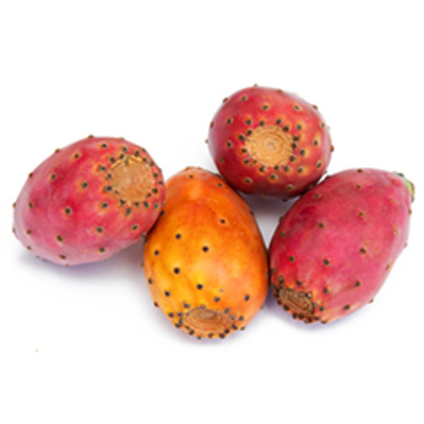 Red Cactus Pear