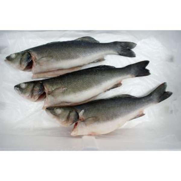 Whole Gilled, Gutted, & Scaled Tilapia