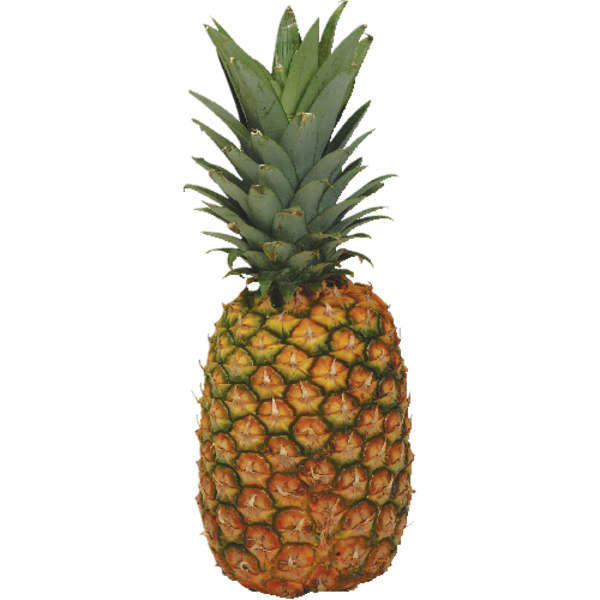 Organic Pineapple