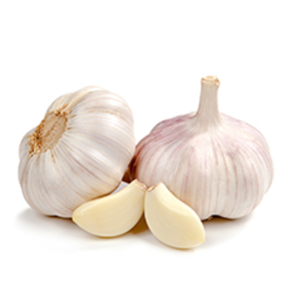 Garlic