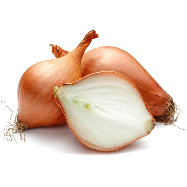 Shallot