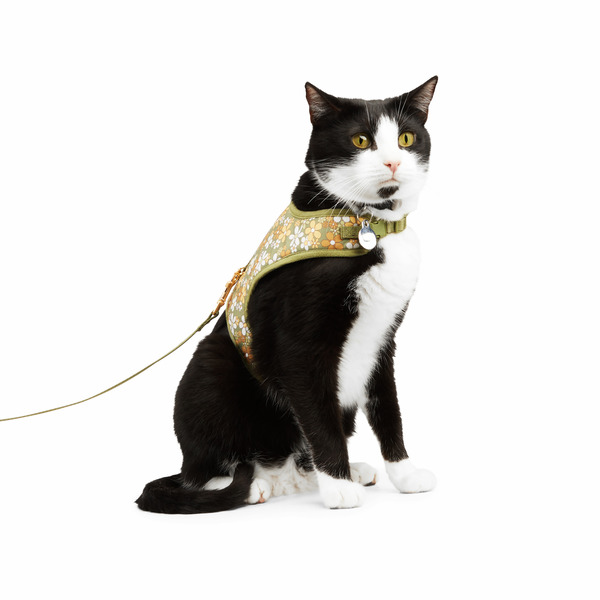 Youly Retro Floral Cat Harness - Green