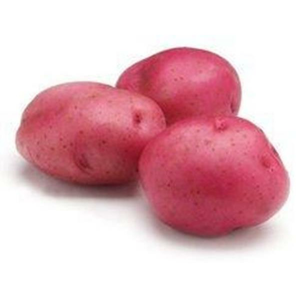Red Potato