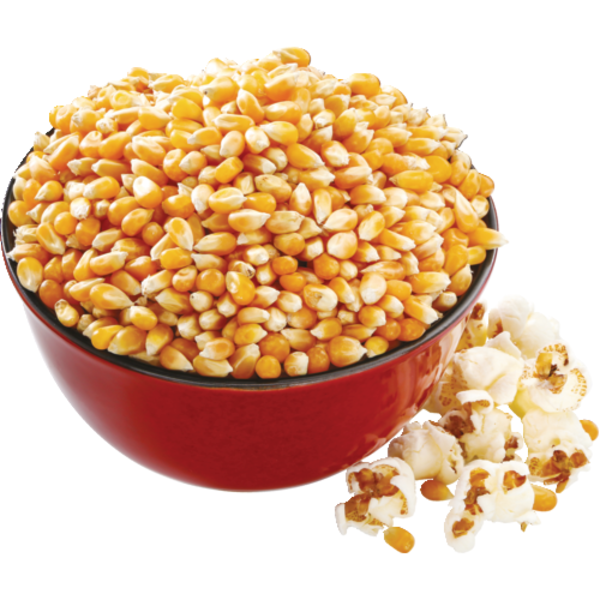 organic white popcorn kernels bulk