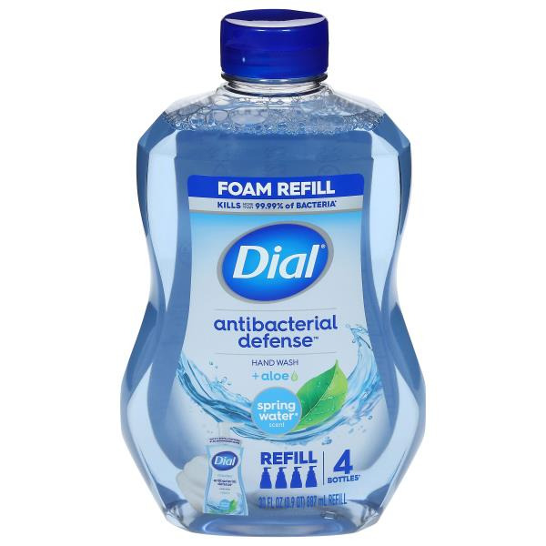 Dial Spring Water Scent Hand Wash Aloe Same-Day Delivery or