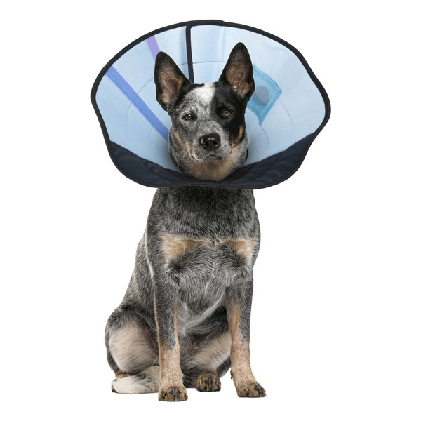 Calm Paws Caring E Collar Medium Soft With Calming Gel Patch