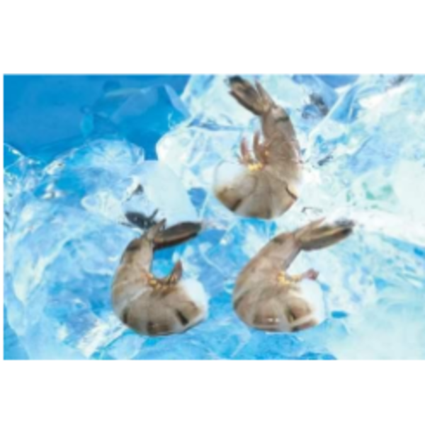 Tropical Shrimp - Cooked EZ Peeled Headless