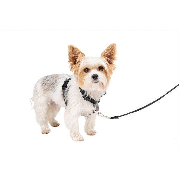 PetSafe 3 in 1 Harness, Extra Small, Black