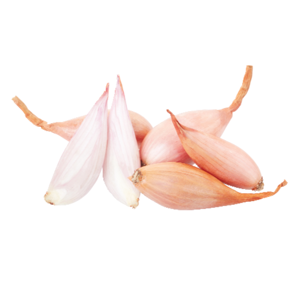 Shallot