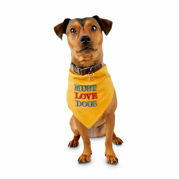 REddy Small to Medium Dog's Love Bandana