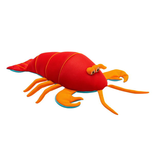 Big Joe Pool Petz Pool Float Toy
