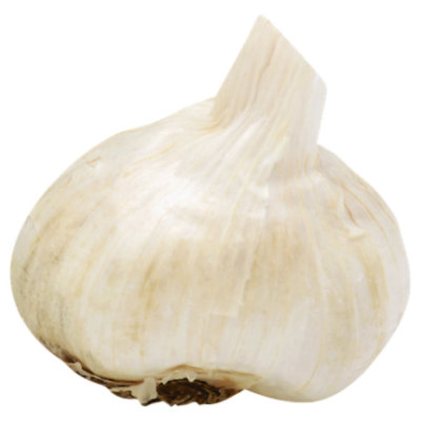 Long Stem Garlic Onions