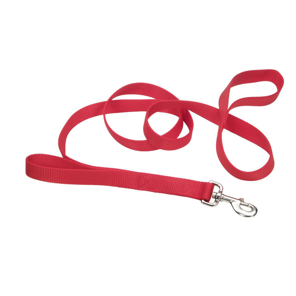 Coastal Pet Red Dog Leash