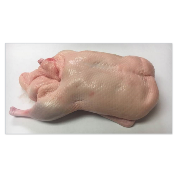 Frozen Halal Duck