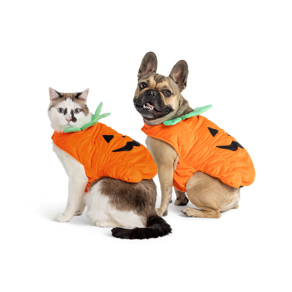 Thrills & Chills Pumpkin Dog & Cat Costume, Medium