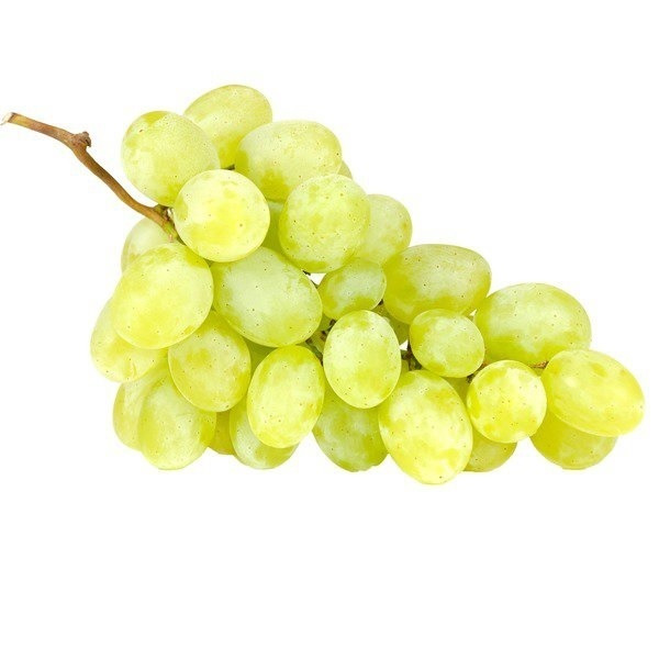 小物 Grapes & Celadon / GC004 - 03 Grapes & Celadon（グレープスアンドセラドン）の「Grapes
