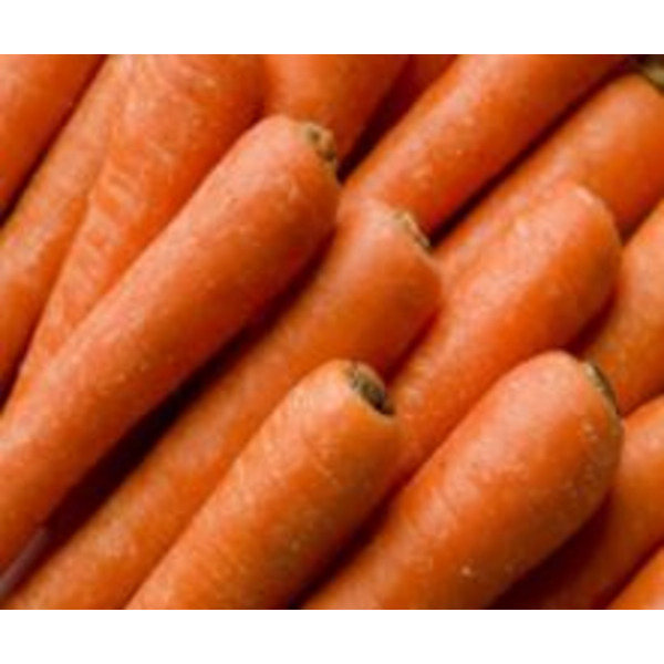 Jumbo Carrots - 25 lbs