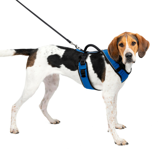 PetSafe EasySport Harness, Large, Blue