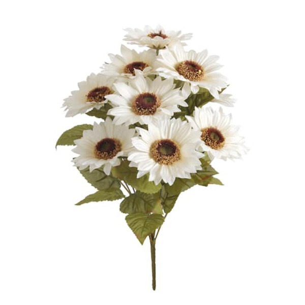 Ashland Sunflower Bush