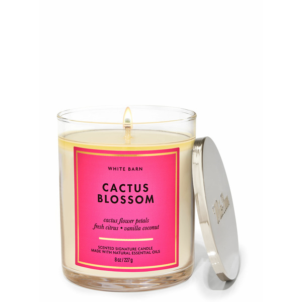 Cactus Blossom Single Wick Candle