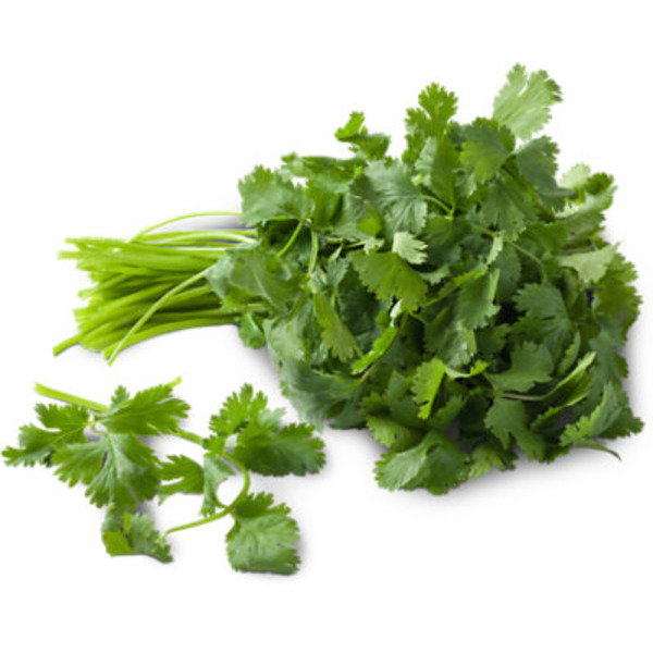 Josie's Organic Cilantro