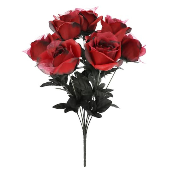 Ashland Dark Red Rose Bush