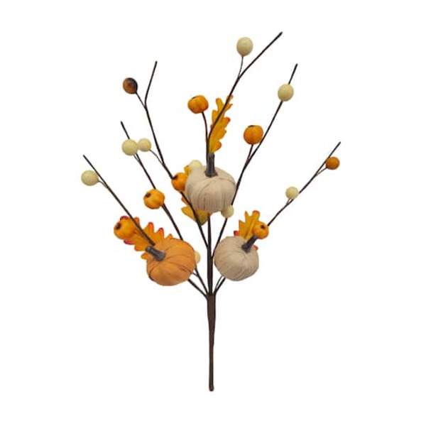 Ashland Pumpkin & Berries Pick