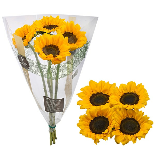 Publix Sunflower Bunch SameDay Delivery or Pickup Instacart