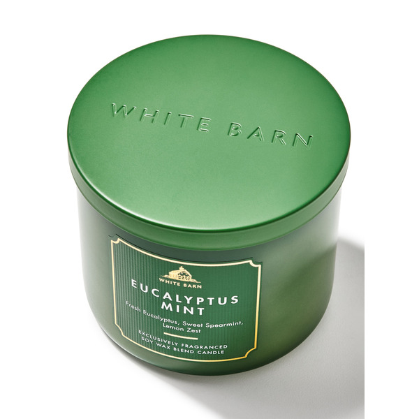 Eucalyptus Mint 3-Wick Candle