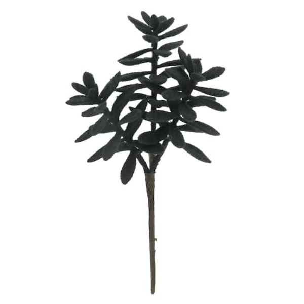 Ashland Black Flocked Succulent Pick