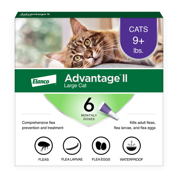 Advantage Flea Treatment & Prevention | Large Cats over 9lbs+