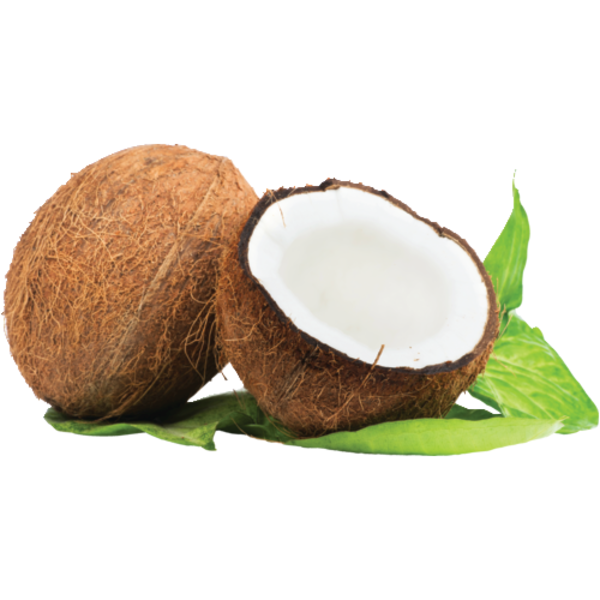 Organic Coconut