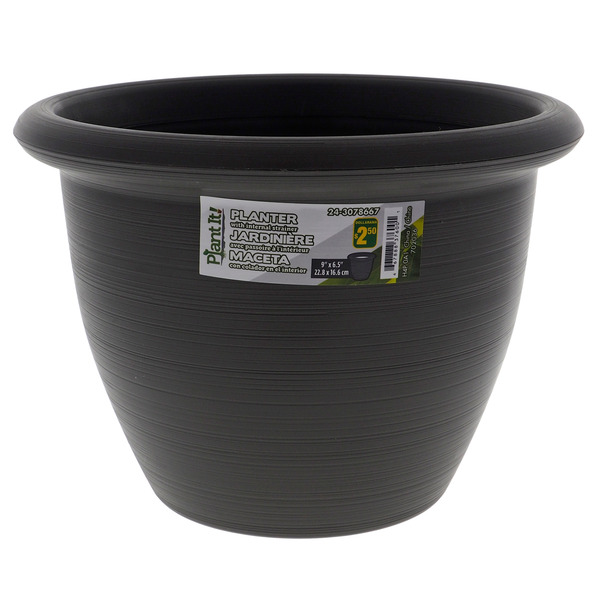 dracaena plant outside 5' Dracaena Plant UV Resistant (Indoor/Outdoor)