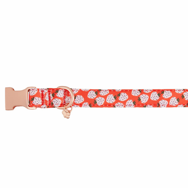 Top Paw Strawberry Neoprene Adjustable Dog Collar