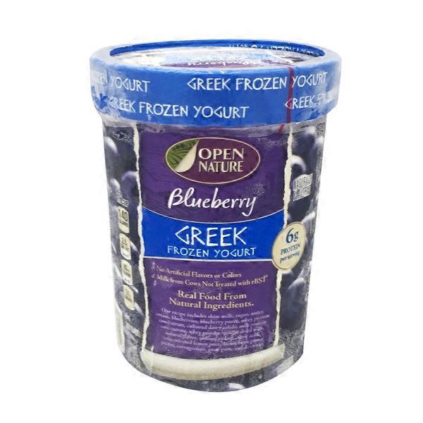 Open Nature Blueberry Greek Frozen Yogurt (48 oz) Instacart