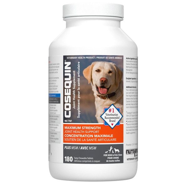 Cosequin DS Maximum Strength Plus MSM Chewable Tablet