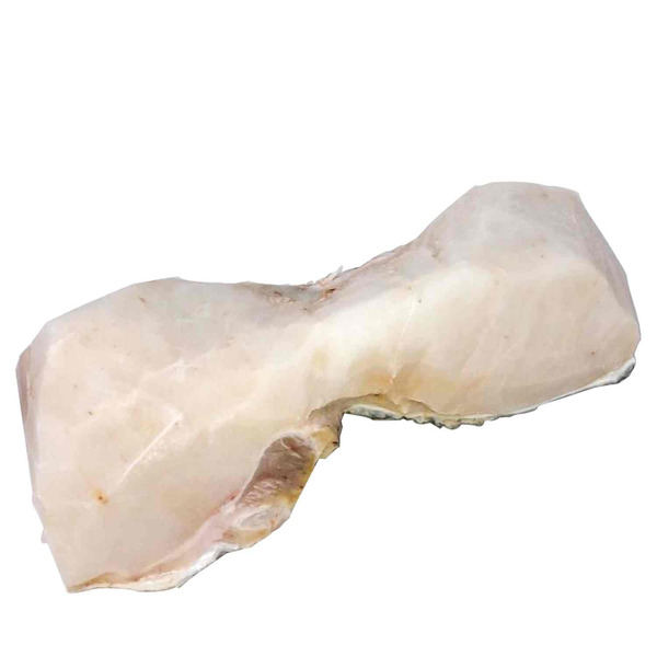 Sea Bass Collar