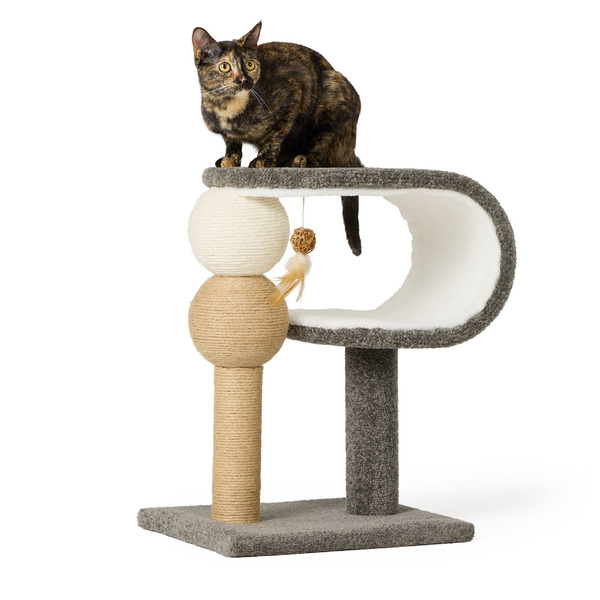 Whisker City Curved Scratcher & Perch - Grey