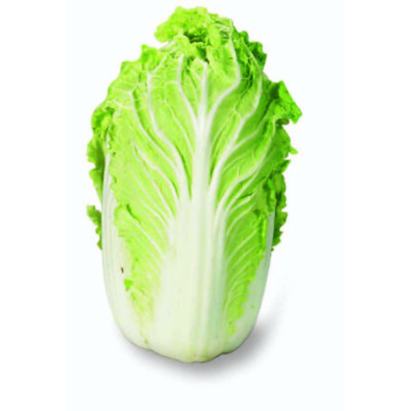Organic Napa Cabbage