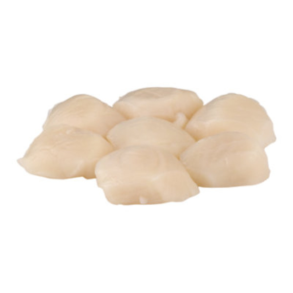 Frozen Sea Scallops