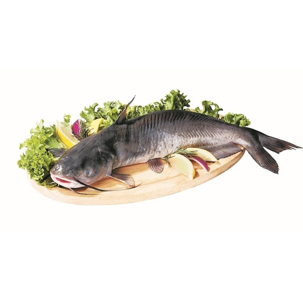 Whole Catfish (per lb) from Kroger Instacart