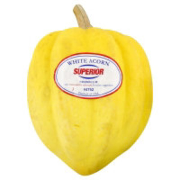 White Acorn Squash