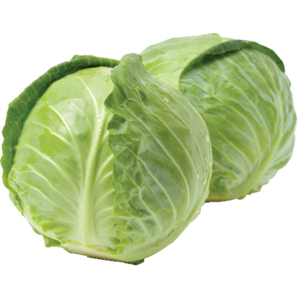 Organic Green Cabbage