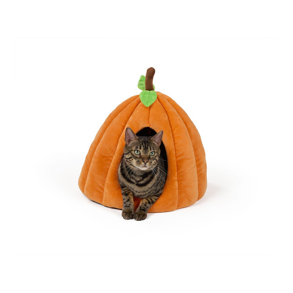Thrills & Chills Halloween Pumpkin Hut Cat Bed