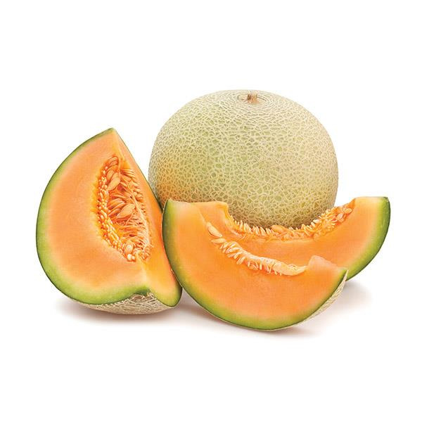 Cantaloupe Melon