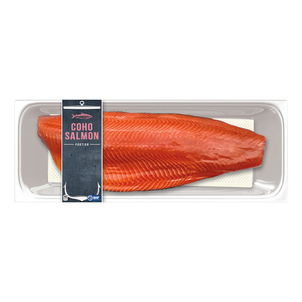 Coho Salmon