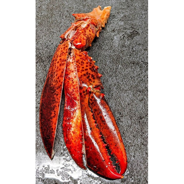 Mazzetta Lobster  Cooked Claws Wild Caught  R/W