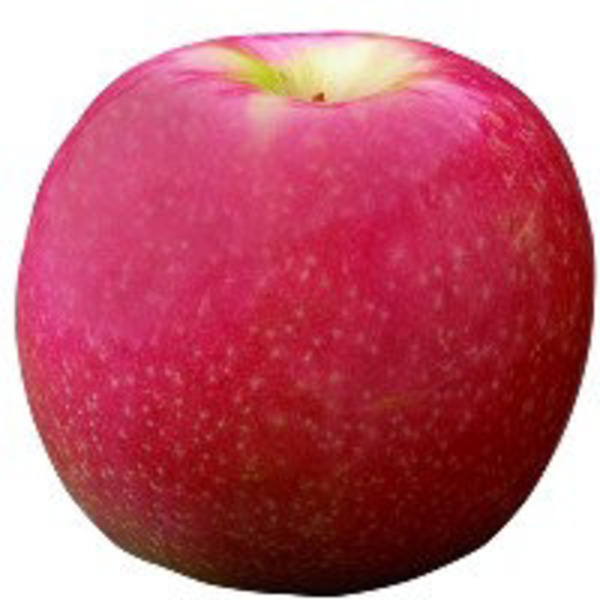Lady Apple
