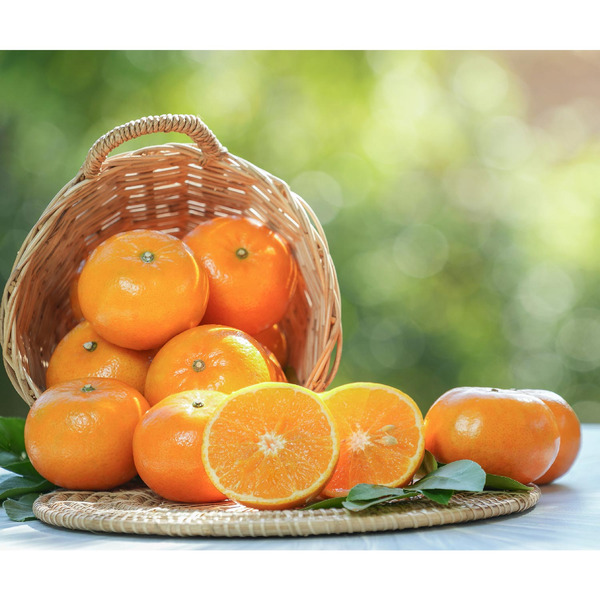 Mandarin Clementine